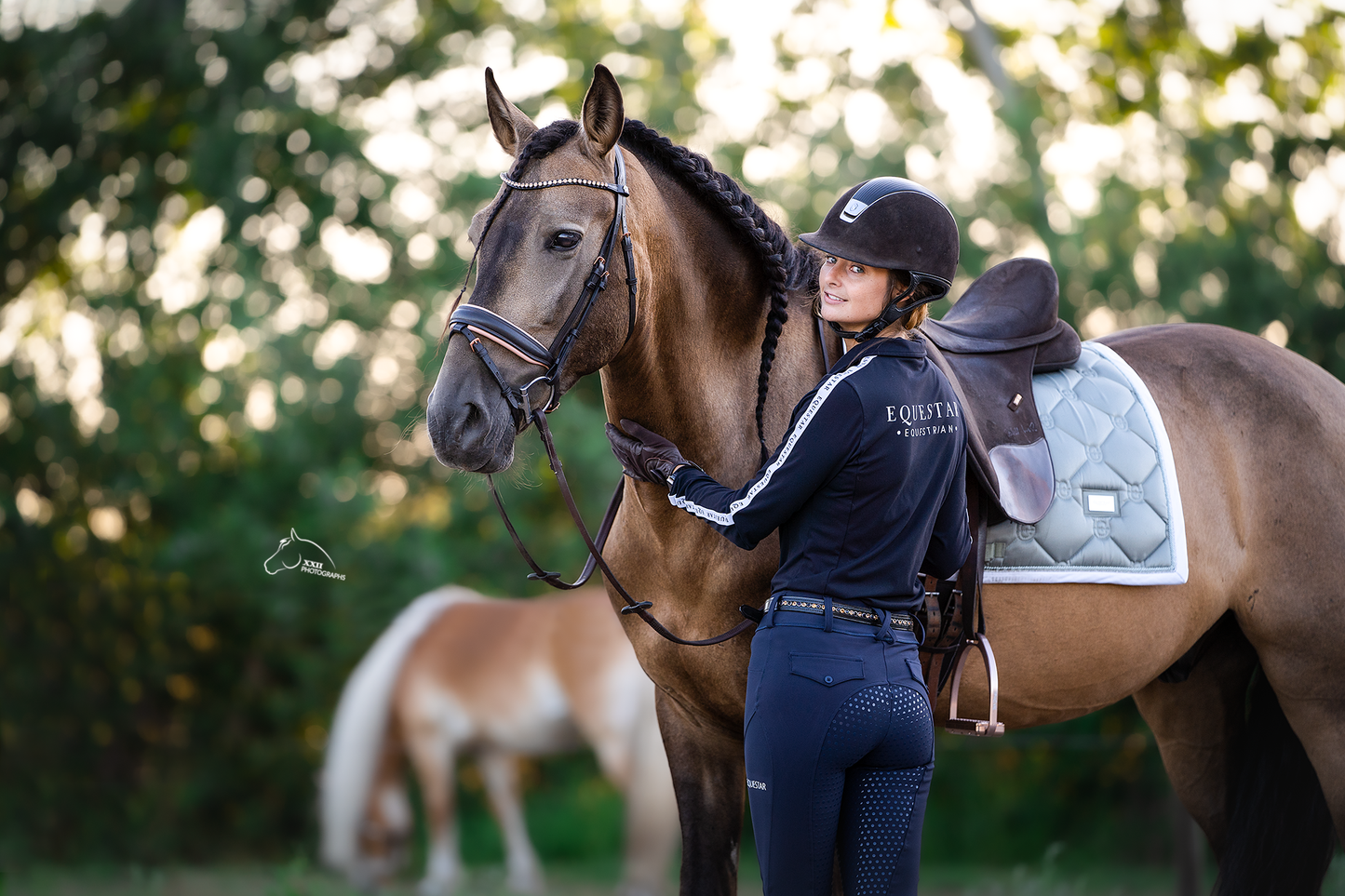 Polo deluxe